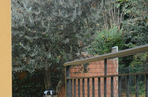 Albate House | NEW Apartment 2 beds, air conditioning, parking space