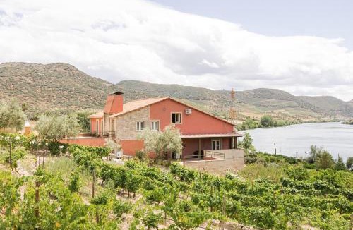 Cabanas de Baixo House | Olhares do Douro