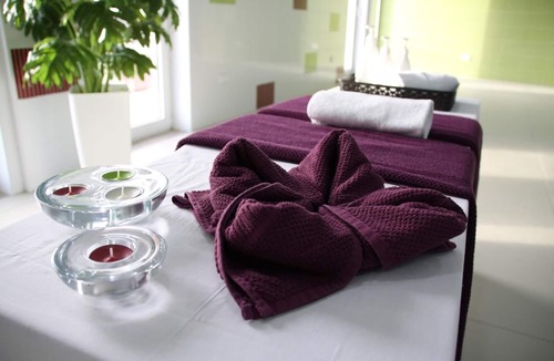 Soure Hotel | Palace Hotel & SPA Termas do Bicanho