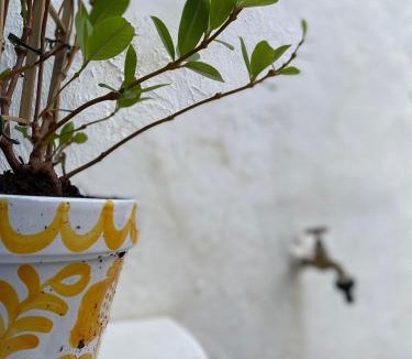 Nossa Senhora da Expetacao Bed & Breakfast | Palacete Encanto Maior