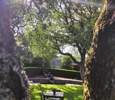 The Ardennes Bed & Breakfast | Petites-Tailles - chambre d'hôtes