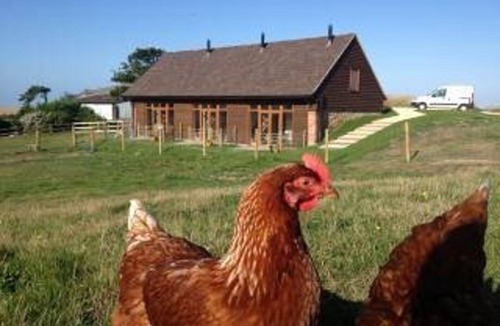 Newport House | Poachers Hut 1-bed Cottage, Sleeps 2, Pet Friendly