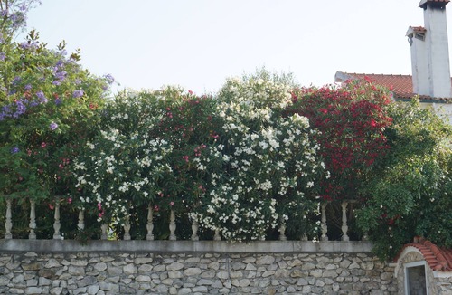 Tremes House | Pombo House