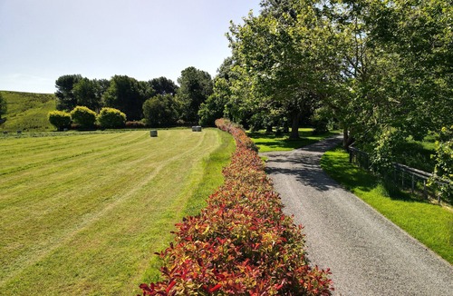Masterton District Cottage | Poplar Cottage - warm and private, nature haven