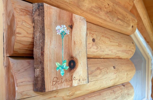 Cogolo Apartment | 'Primula' Room with Mountain View, Shared Garden and Wi-Fi