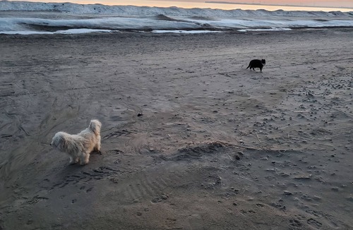 Wainfleet Cottage | Private sand beach. Lakefront. Spacious LongBeachCottages.com – Cottage #3