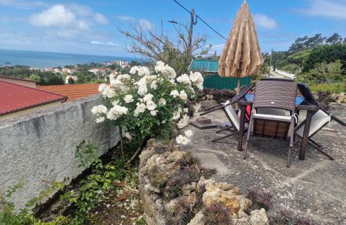 Figueira da Foz House | Quinta da Avó Bella