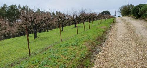 Evora de Alcobaca Bed & Breakfast | Quinta da pêra rocha