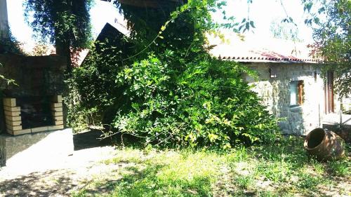 Penafiel House | Quinta De Abol De Baixo