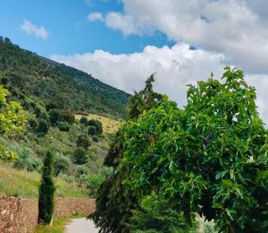 Torre de Moncorvo Resort | Quinta de Canelas
