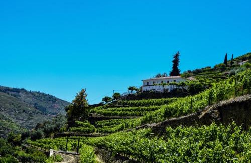 Bomfim House | Quinta de la Rosa