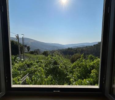 Parada de Ester House | Quinta do Passal - Country house