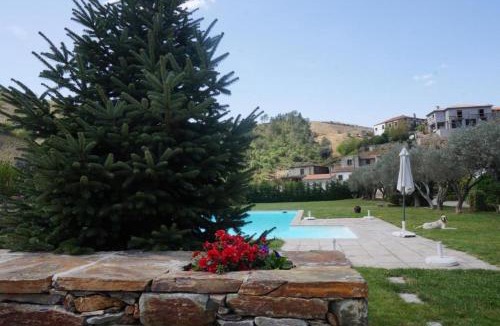 Vila Real House | Quinta Madureira