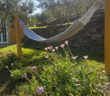Murca House | quinta vale da corga