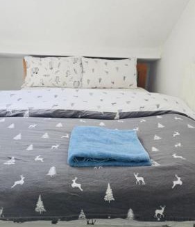 Braunstone House | Rachel House 4