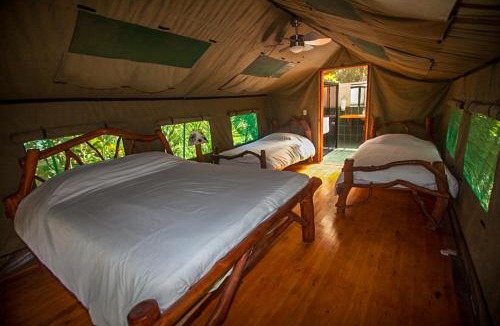 Canton Quepos Cabin | Rafiki Safari Lodge