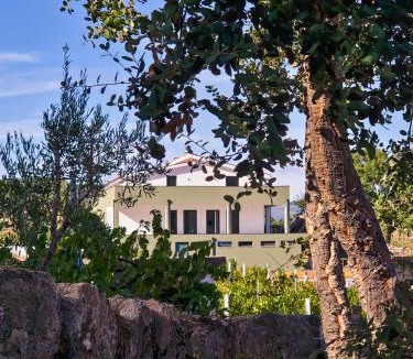 Pegarinhos House | Raposa Verde - Agroturismo