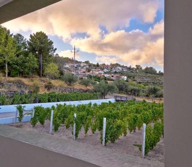 Pegarinhos House | Raposa Verde - Agroturismo