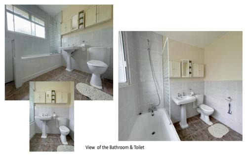 Hale Apartment | Room 2, Laleham Avenue, London