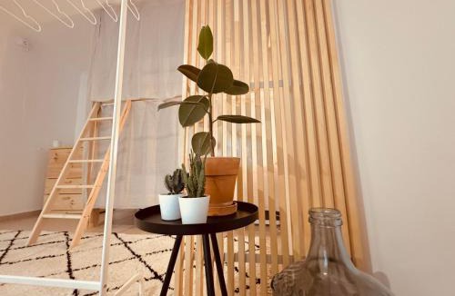 Barril de Cima House | Sãone Guesthouse - Coworking & Retreat Location