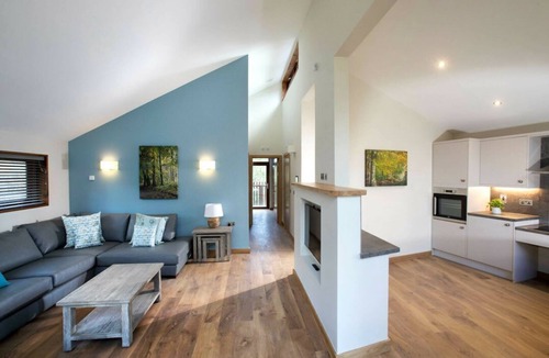 Clipstone Cabin | Sherwood Forest Silver Birch Cabin, Edwinstowe