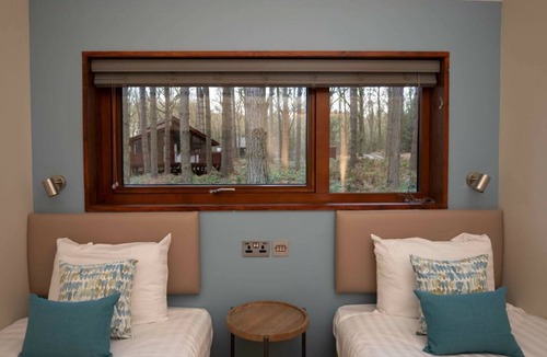 Clipstone Cabin | Sherwood Forest Silver Birch, Edwinstowe