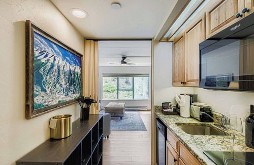 Peak 9 Apartment | Ski In Ski Out Studio, Dog Friendly, Hot Tubs, Building 4