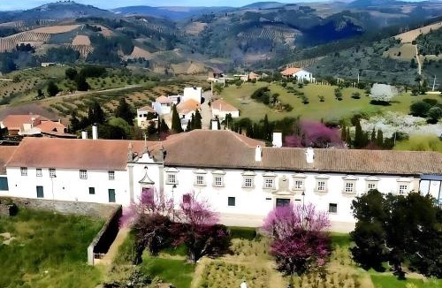 Arcas Apartment | SOLAR DAS ARCAS Manor House