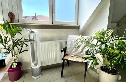 Jacht Apartment | Spacious Loft - View over the roofs of Brussels