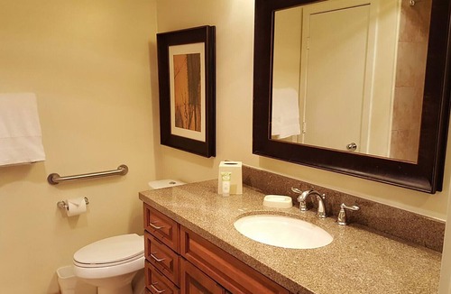Vail Resort | Studio - Marriott's StreamSide at Vail - Birch, Douglas, and Evergreen - Full Resort Access