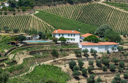 Bomfim Villa | Stunning Boutique Vineyard Stay with Pool