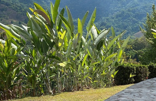 Parrita House | Stunning Private Villa Near Quepos