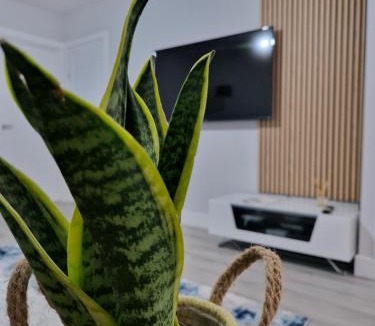 Upper Edmonton House | Stylish 2 bed home- short walk to Tottenham Stadium/Stations