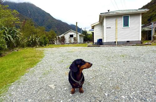 Otira Apartment | Super 'Cosy' Small Basic Cabin in The Middle of National Park and Mountains but near Road and Railway