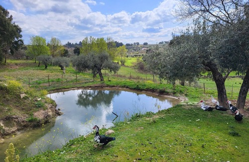 Alpedrinha Hotel | Surprada boutqiue countryside farmstay with pool