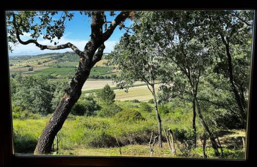 Santarem House | The Bungalow - Quinta da BellaVista