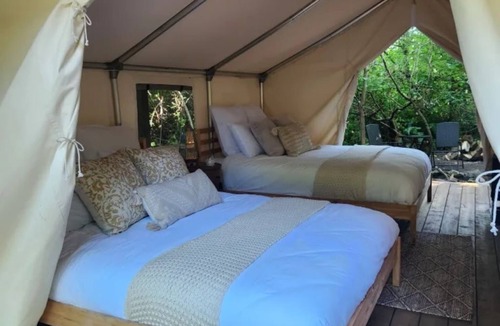 Tsawwassen Cabin | The Fox Den