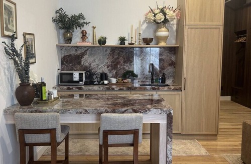 Troy Apartment | The Ilium Suite 406 - Luxury Studio in Downtown Troy