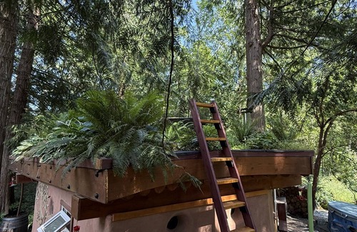Shawnigan Lake Apartment | The Wobbly Hobbit- a unique earthen cabin in the woods.
