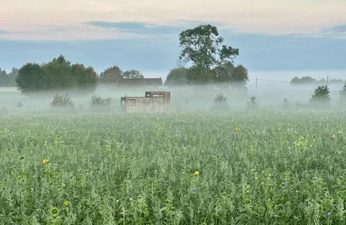Chievres House | Tiny House du Gad Bourgeois