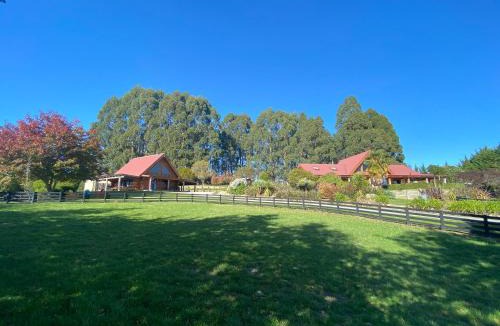 Solway House | Tree Hut Cottage