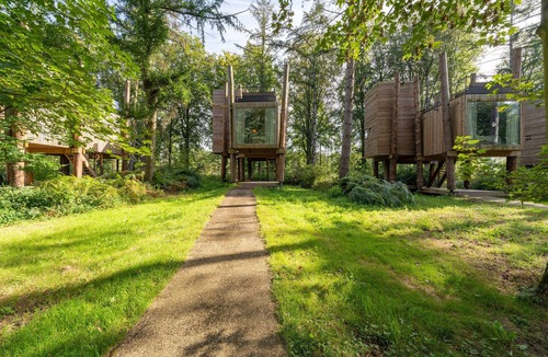 Maubray House | Treehouse magic! Live it by belvilla