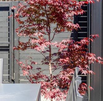 Riccarton Apartment | Urban Loft Near Westfield Mall Walk Everywhere