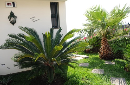 Canico Villa | Villa Belo Horizonte