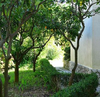 Verdizela Villa | Villa Verdizela II
