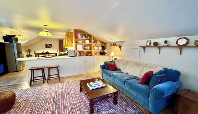 1 mile from Stowe Mt Resort. Cute, pet-friendly loft apartment. Private hot tub.