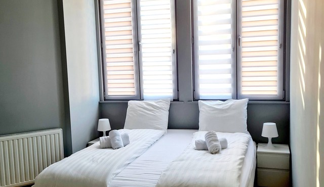 101. Charming renovated luxury studio. AppartHotel Centre ville