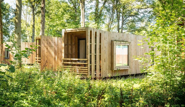 2-4 person The Treeloft in the holiday park Landal Forest Resort Your Nature