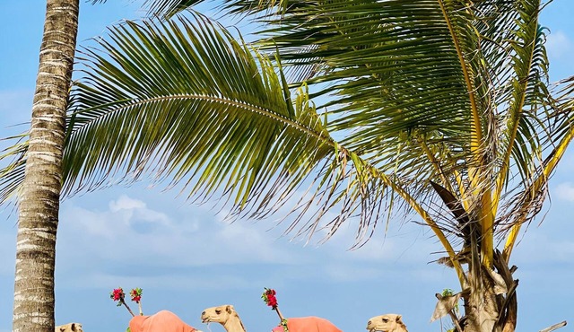 2-bedroom Diani Beach apartment paradise on delightful Diani Beach with WiFi, AC