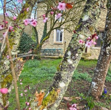 200yr Farmhouse, Fenced Garden & Kids Room